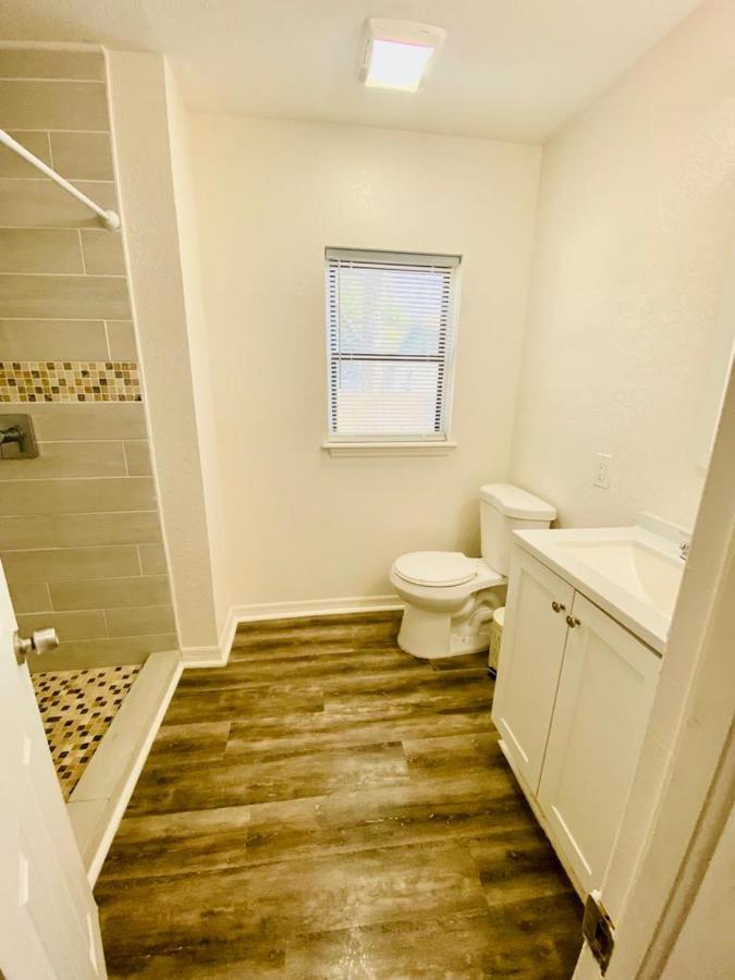 Two Fully Equipped Apartments And A Studio 5 Miles From The Beach St. Petersburg Exteriér fotografie