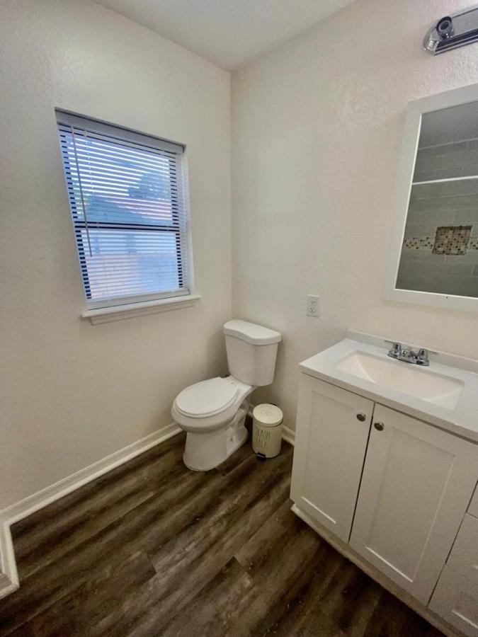 Two Fully Equipped Apartments And A Studio 5 Miles From The Beach St. Petersburg Exteriér fotografie