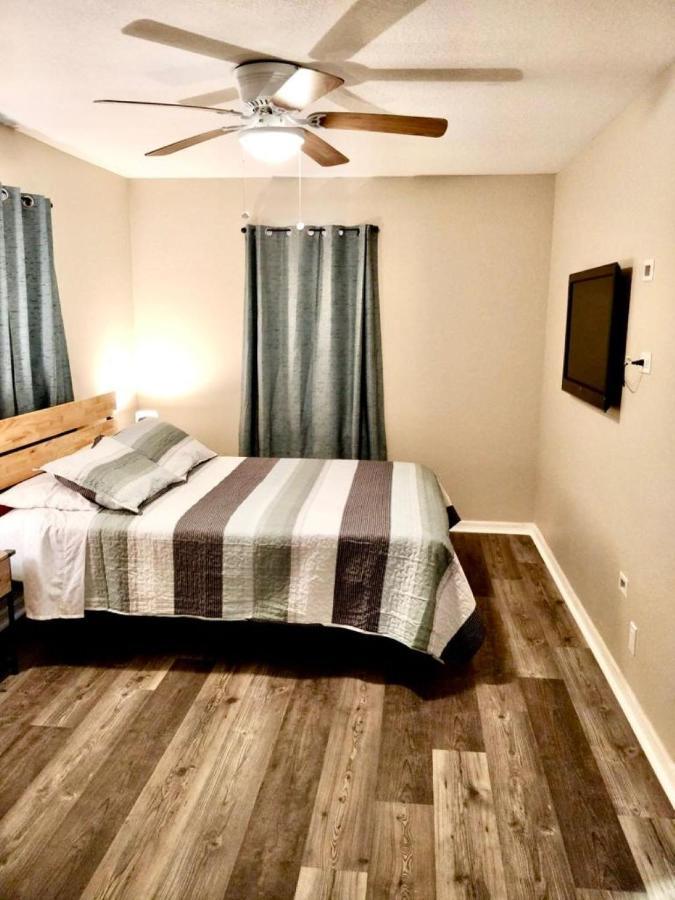 Two Fully Equipped Apartments And A Studio 5 Miles From The Beach St. Petersburg Exteriér fotografie